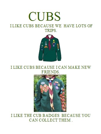 2012-09-20 Cubs IT Badge