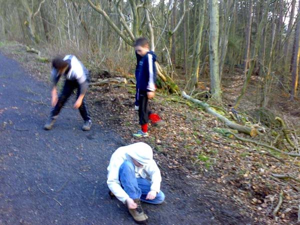 2008 Townhill Woods