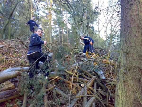 2008 Townhill Woods