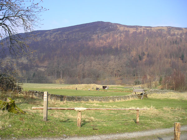 2009-03 Meggernie