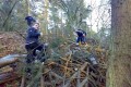 2008 Townhill Woods