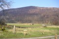 2009-03 Meggernie