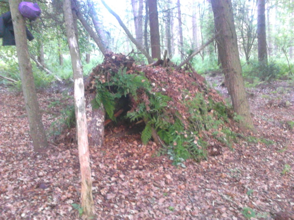 2015-06-08 Scout Bivies Townhill Woods