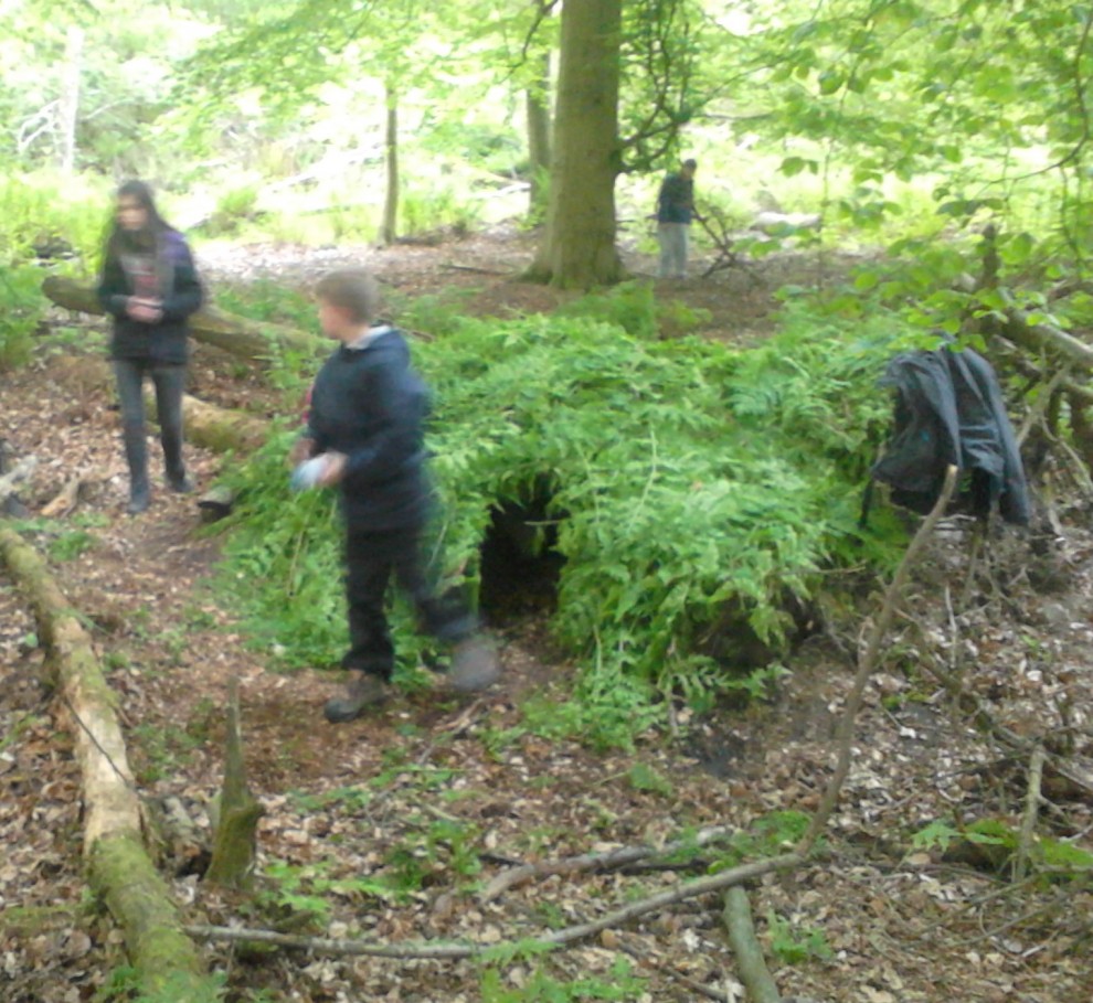 2015-06-08 Scout Bivies Townhill Woods