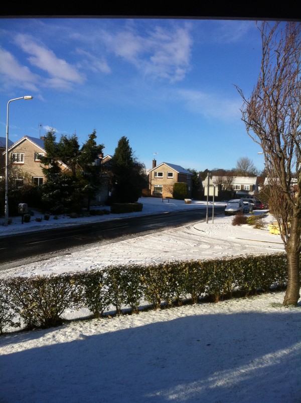 Snow Nov 2010